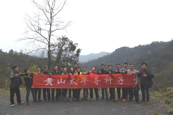 黃山區(qū)導游協(xié)會探尋太平猴魁生長之源.jpg