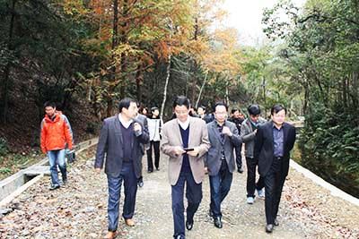 安徽省省、市政協(xié)委員視察六百里猴魁公司野茶谷.jpg